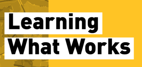 Strengthening a Culture of Data Literacy with New York City Nonprofit Leaders: Lessons Learned